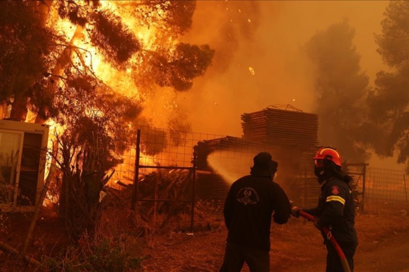 Kebakaran Hutan Mediterania Timur, Ancaman Serius Perubahan Iklim
