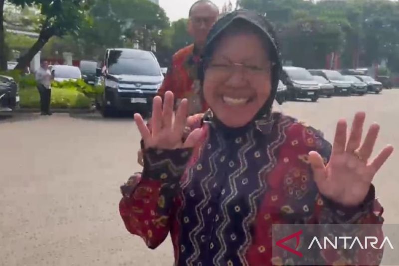 Menteri Sosial (Mensos) Tri Rismaharini usai menemui Presiden Joko Widodo di Istana Negara, Jakarta, Jumat (30/8/2024). ANTARA/Afra Augesti