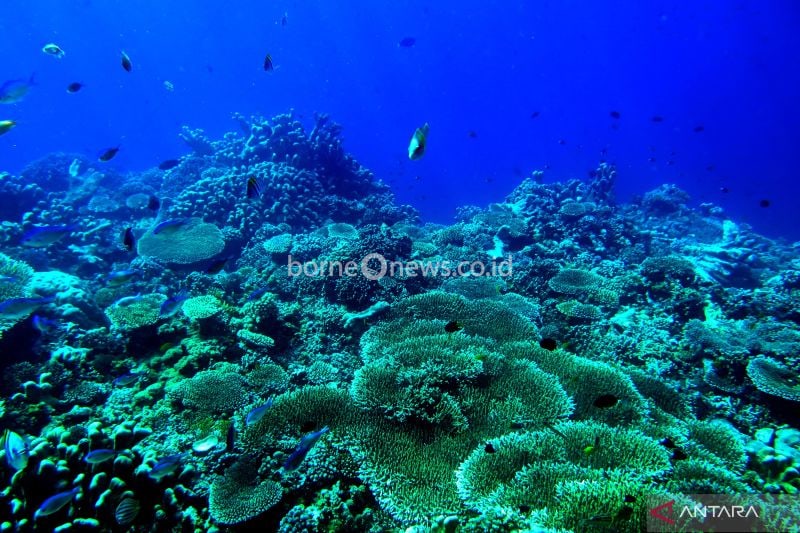 Kolaborasi Pentahelix Diperlukan untuk Pengembangan Geopark Gorontalo