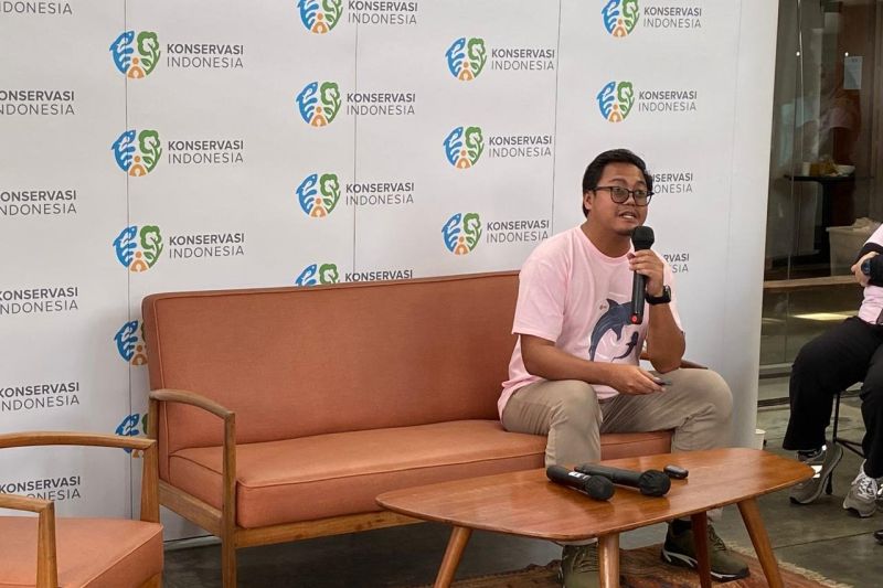 Ancaman Pariwisata Tak Bertanggung Jawab bagi Hiu Paus di Indonesia