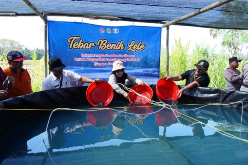 Kegiatan tebar benih ikan lele di Dusun Gandekan, Kelurahan Poncosari, Srandakan, Kabupaten Bantul, Daerah Istimewa Yogyakarta. Jumat (30/8/2024) (ANTARA/HO-Kominfo Pemkab Bantul)