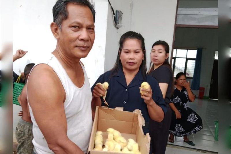 Pemerintah Desa Gunung Mas Alokasikan Rp20 Miliar untuk Ketahanan Pangan