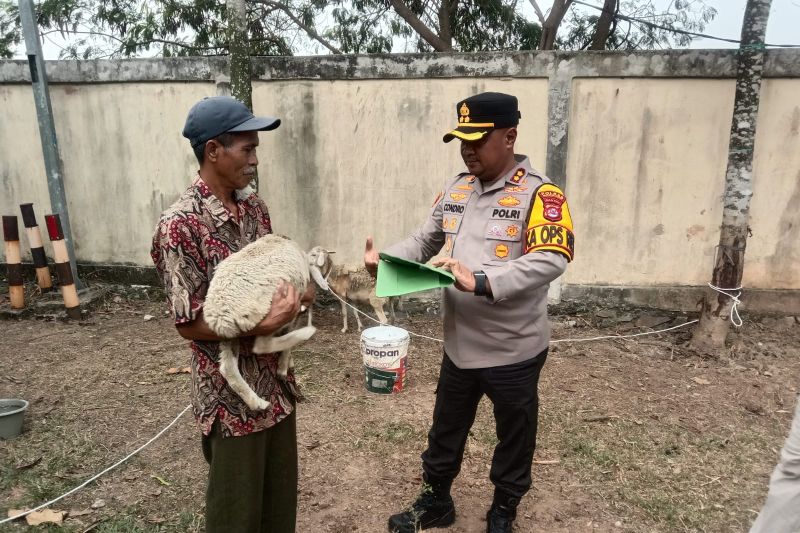 Polres Serang Amankan Pelaku Pencurian Ternak dan Kambing