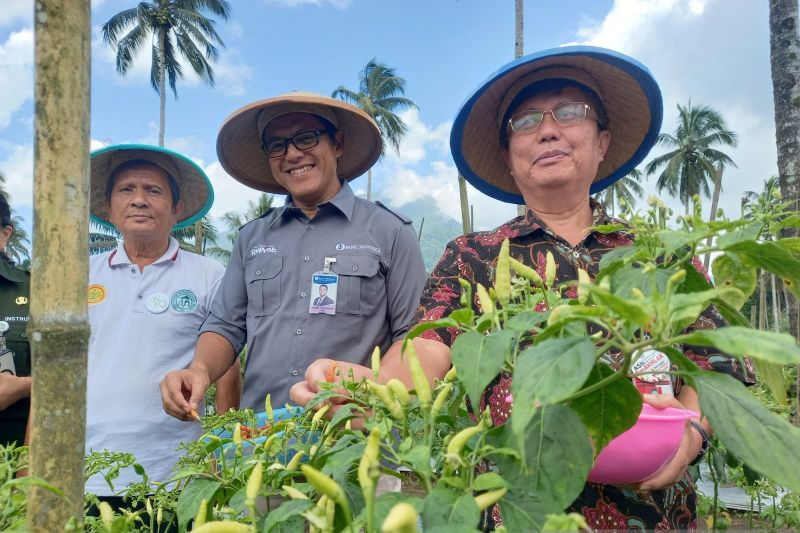 Strategi Pemulihan Ekonomi Sulut melalui Pertanian Berkelanjutan