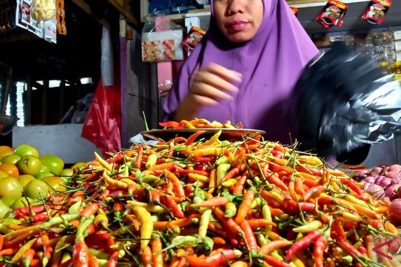 Komoditas cabai rawit di Gorontalo Utara. (ANTARA/Susanti Sako)