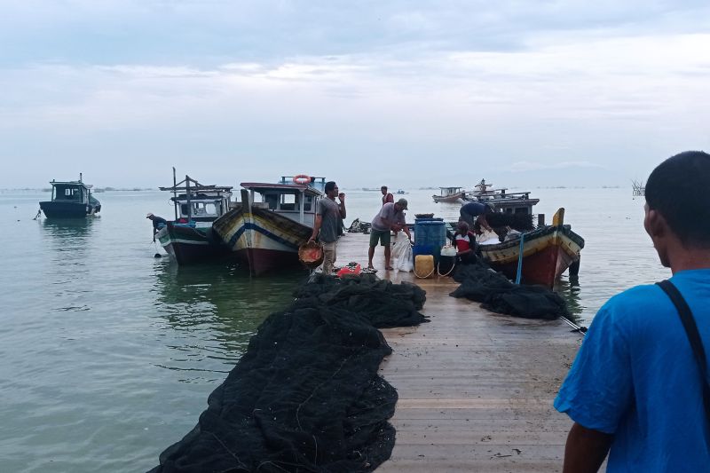 Nelayan di perairan selatan Banten kebanjiran tangkapan ikan teri melimpah sehingga bisa meraup keuntungan peningkatan ekonomi. ANTARA/Mansur