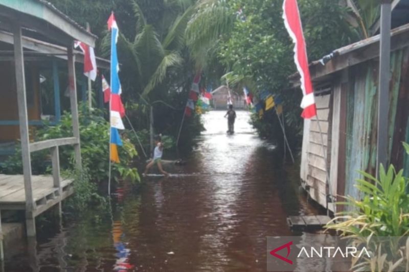 Tim Reaksi Cepat BNPB Terjun Atasi Banjir di Kalimantan Barat