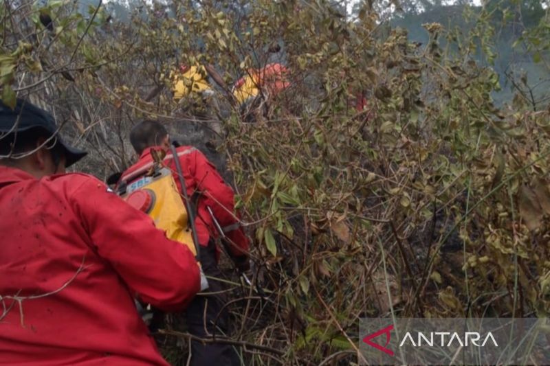 Petugas Manggala Agni KLHK menggendong tabung air untuk memadamkan api kebakaran lahan di Desa Tongging, Kabupaten Karo, Sumatera Utara. ANTARA/HO-BNPB