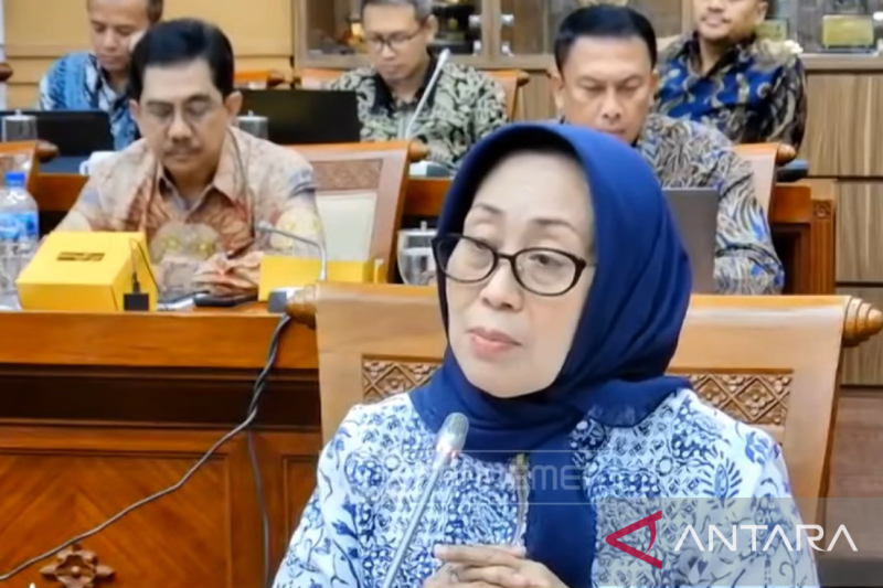 Tangkapan layar - Eks Komisioner Komnas Perempuan Ninik Rahayu. ANTARA/Melalusa Susthira K