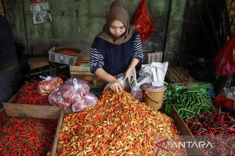 Arsip - Salah seorang pedagang cabai rawit di pasar tradisional di Kota Palangka Raya. Cabai rawit merupakan salah satu komoditas yang sering menjadikan inflasi. ANTARA/Auliya Rahman.