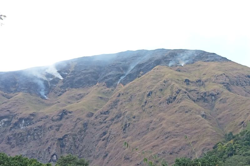 Bukit Anak Dara di kaki Gunung Rinjani, Kecamatan Sembalun, Kabupaten Lombok Timur, Provinsi NTB yang terbakar. (ANTARA/HO-Riki)