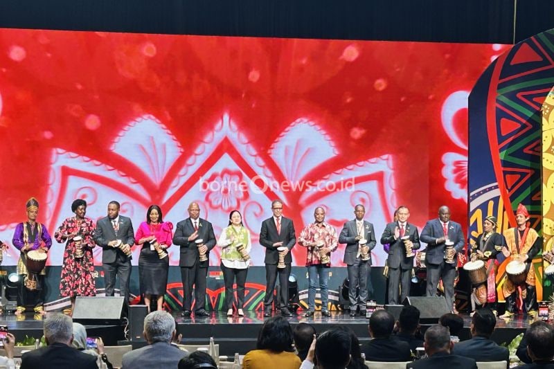 Peran Strategis Parlemen RI dalam Kemitraan Global dengan Afrika