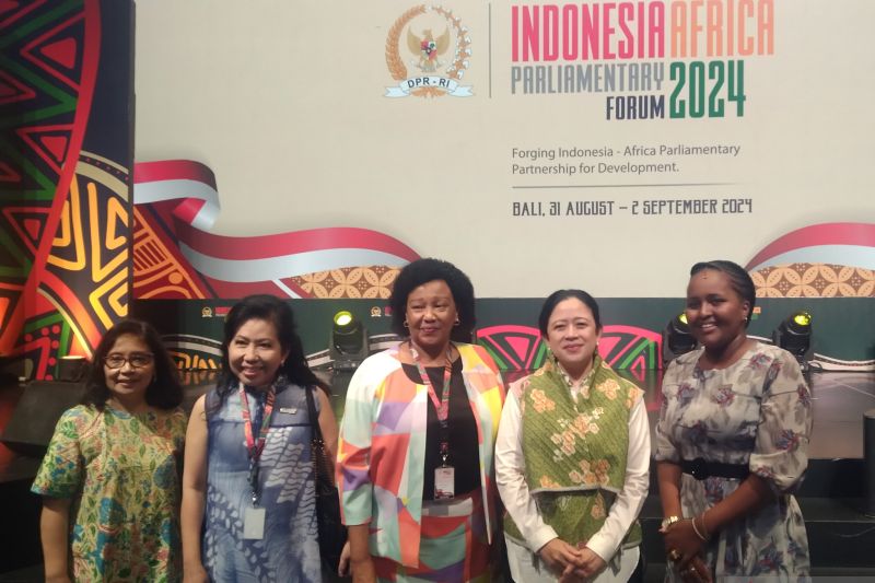 Parlemen Indonesia dan Afrika Jalin Kerja Sama Strategis untuk Pembangunan