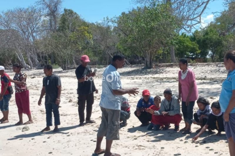 Masyarakat Solor Selatan Lepaskan 300 Tukik ke Lautan Bersama Suku Melur