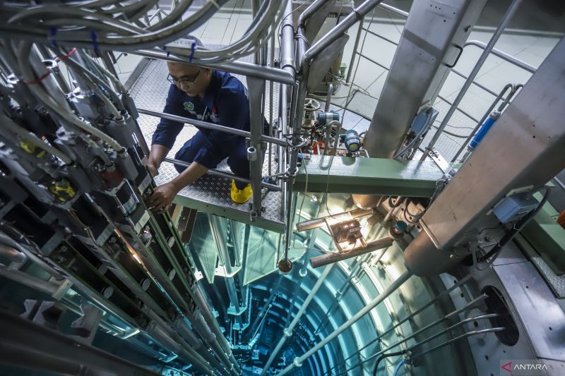 Pemanfaatan Energi Nuklir Tingkatkan Kualitas Pangan di Indonesia
