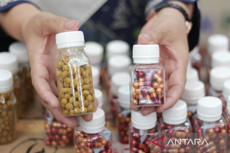 Arsip - Petugas saat memperlihatkan obat tradisional tanpa izin edar yang disita BBPOM Padang bersama Polda Sumbar. ANTARA/Fandi Yogari.
