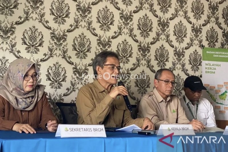 Kepala BRGM RI Hartono saat konferensi pers program M4CR dalam upaya percepatan rehabilitasi mangrove di Riau. (ANTARA/Annisa Firdausi)