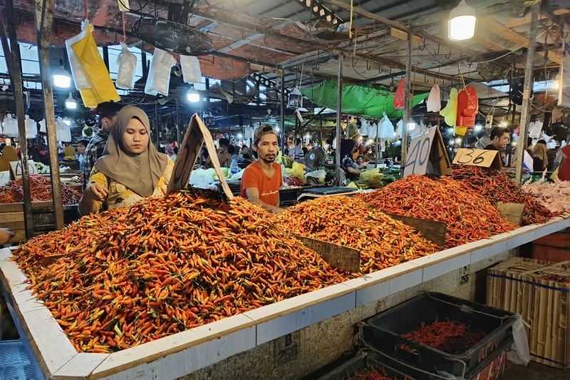 Inflasi Kalbar Agustus 2024 Capai 1,47 Persen, Stabil dan Terkendali