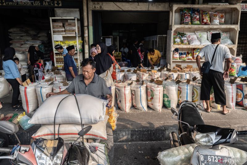 Kenaikan Harga Beras di Penggilingan Agustus 2024 Capai 11,19 Persen