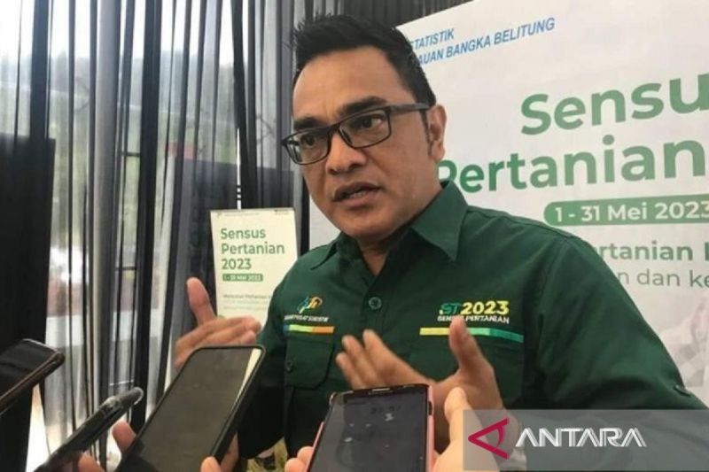 Kepala BPS Provinsi Kepulauan Babel Toto Haryanto Silitonga. ANTARA/Aprionis