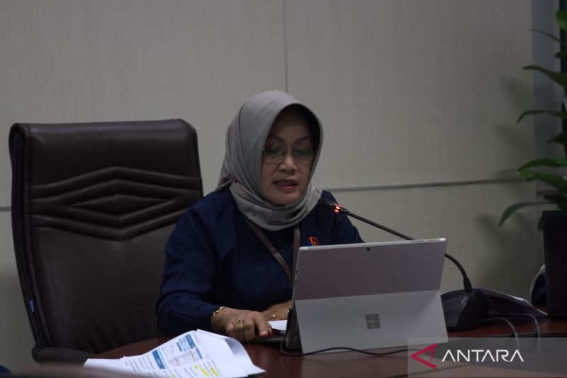Plt.Kepala BPS Sultra Surianti Toar. (Antara/Azis Senong)