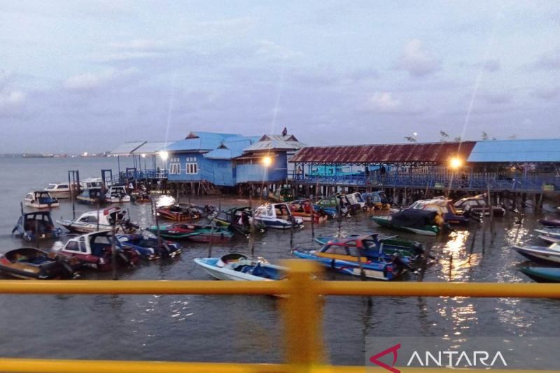 Puluhan speedboat bersandar di pinggir Teluk Balikpapan, salah satu kawasan yang terdampak langsung oleh pasang surut laut .ANTARA/ M Ghofar