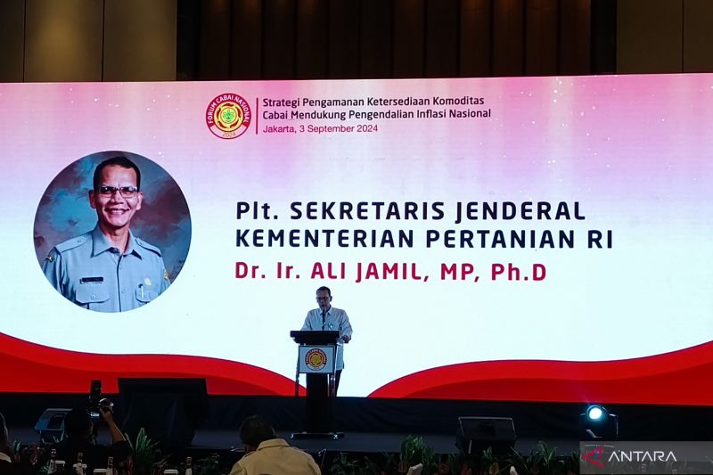 Upaya Kementan Jaga Stabilitas Harga Cabai Melalui Petani Champion