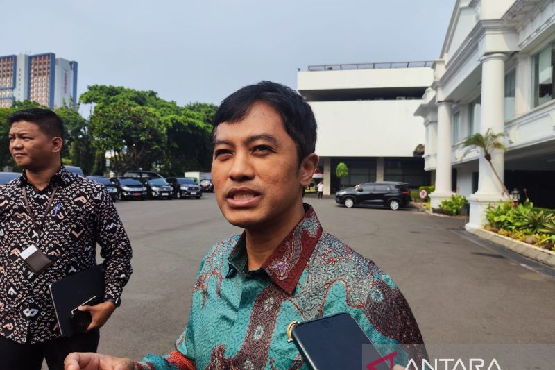 Wakil Menteri Kesehatan Dante Saksono memberikan keterangan kepada wartawan di Istana Kepresidenan Jakarta, Selasa (3/9/2024). ANTARA/Mentari Dwi Gayati