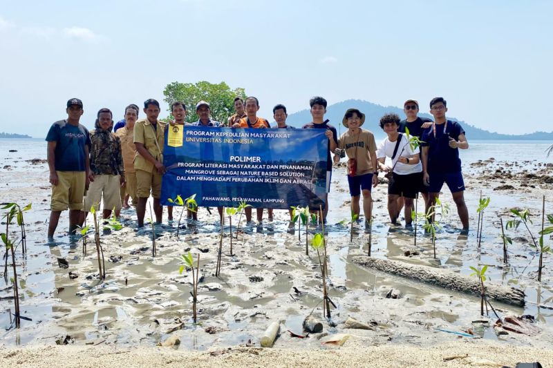 Edukasi dan Penanaman Mangrove untuk Lestarikan Hutan Bakau di Pahawang