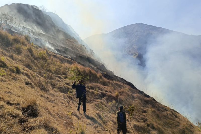 Petugas melaksanakan upaya pemadaman kebakaran lahan di Bukit Anak Dara, Kecamatan Sembalun, Kabupaten Lombok Timur, Provinsi NTB, Senin (2/9/2024) (ANTARA/HO-TNGR NTB)