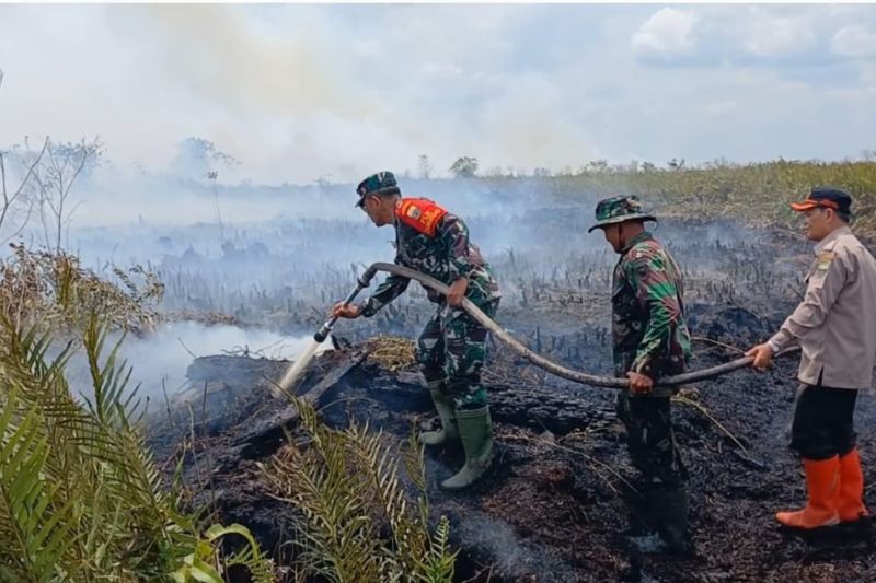 Satgas Karhutla Jambi Kerahkan 250 Personel untuk Padamkan Kebakaran Hutan