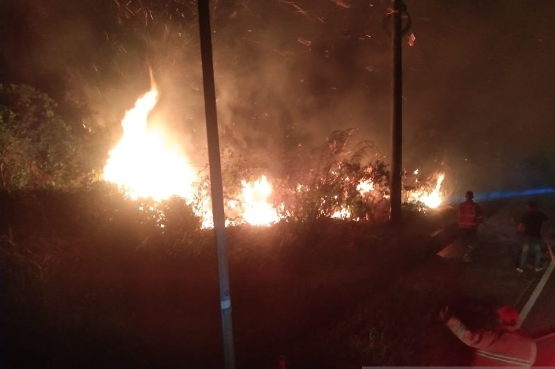 Peristiwa kebakaran hutan dan lahan di jalan Raya Pegantungan, Desa Sungai Samak, Kecamatan Badau pada, Senin (2/9) malam (ANTARA/Kasmono/Apriliansyah)