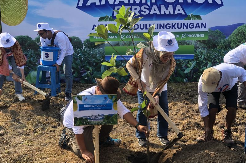 AirNav Indonesia Tanam 12 Ribu Pohon Nangka Dukung Keberlanjutan