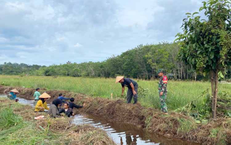 Pekerjaan proyek optimalisasi lahan rawa tidak produktif di tiga kecamatan yakni Kecamatan Teweh Selatan, Kecamatan Gunung Timang dan Kecamatan Montallat dan diawasi langsung oleh Babinsa Kodim 1013 Muara Teweh.(foto: Dhani)