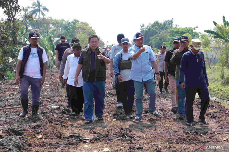 Penjabat Bupati Bekasi Dedy Supriyadi (rompi hijau) bersama jajaran perangkat daerah terkait saat meninjau kegiatan normalisasi sungai di Kampung Teluk Bango, Desa Karangharja, Kecamatan Pebayuran pada Minggu, (1/9/2024). (ANTARA/Pradita Kurniawan Syah).