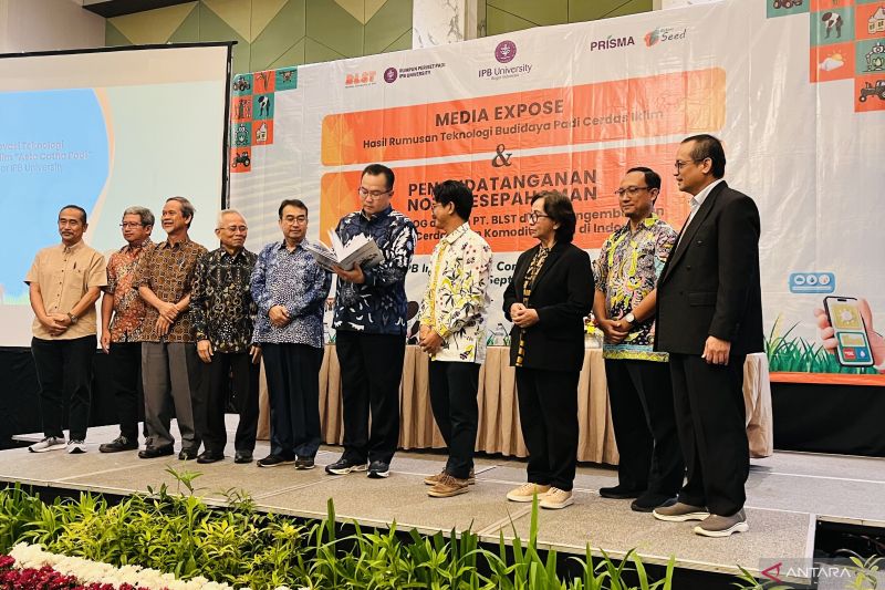 Kegiatan ekspose perumusan Padi Cerdas Iklim oleh IPB University, Selasa (3/9/2024). (ANTARA/Shabrina Zakaria)