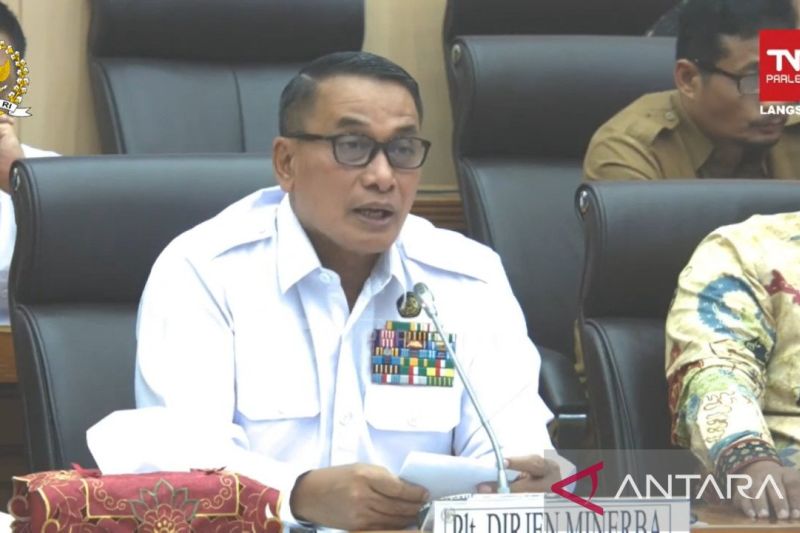 Plt Direktur Jenderal Mineral dan Batubara (Minerba) Kementerian Energi dan Sumber Daya Mineral (ESDM) Bambang Suswantono. ANTARA/HO-Kementerian ESDM