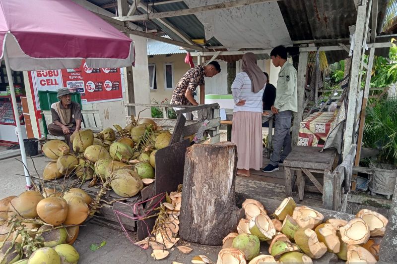 Upaya DLH Solok Mengolah Limbah Kelapa Muda Menjadi Pupuk Organik