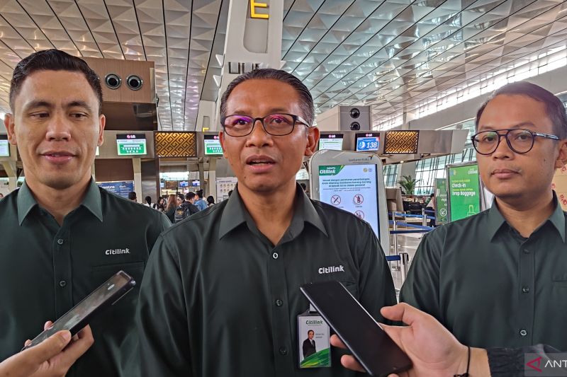 Direktur Utama (Dirut) PT Citilink Indonesia, Dewa Kadek Rai. ANTARA/