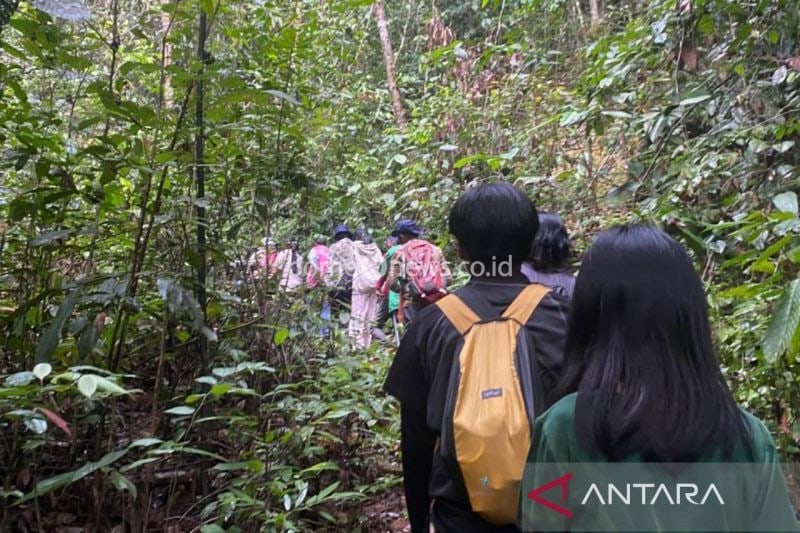 Desa Nehas Liah Bing, Kabupaten Kutai Timur, yang sebagian besar wilayahnya ditutupi hutan Wehea merupakan salah satu kampung mendapat pembagian insentif dana karbon melalui proses FCPF-CF. (ANTARA/HO-Dokumentasi pribadi)