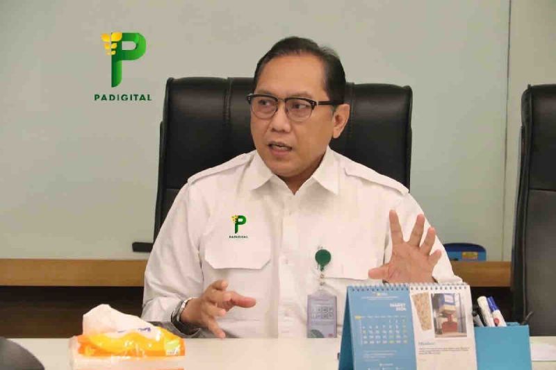 Anomali Harga Gabah, Produksi Padi Melimpah di Tengah Kekeringan