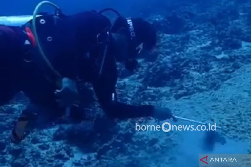Tangkap layar seorang penyelam mengorek endapan lumpur di dasar laut yang diduga berasal dari bekas pengeboran pemasangan pipa PT TCN di perairan Gili Trawangan, Lombok Utara, NTB. ANTARA/HO-Surak Agung