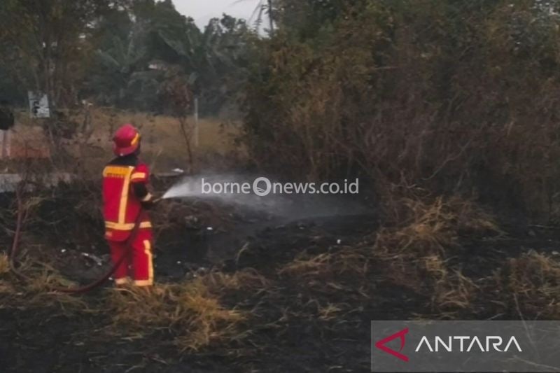 Penanganan Kebakaran Hutan, Damkar Cianjur Tuntaskan Empat Lokasi