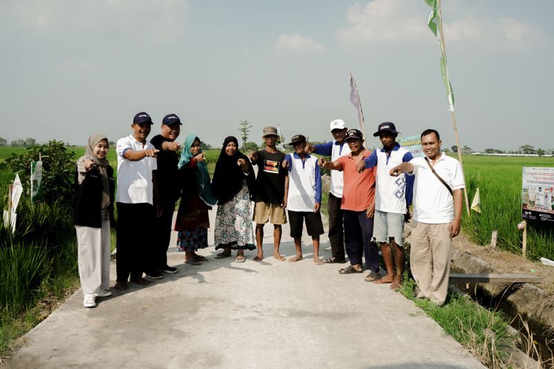 PT Pupuk Kalimantan Timur (Pupuk Kaltim) melakukan pendampingan kepada para petani melalui upaya Demonstrasi Plot (Demplot) di Desa Pojokrejo, Kecamatan Kesamben, Kabupaten Jombang Jawa Timur, Rabu (4/9/2024). ANTARA/HO-Pupuk Kaltim
