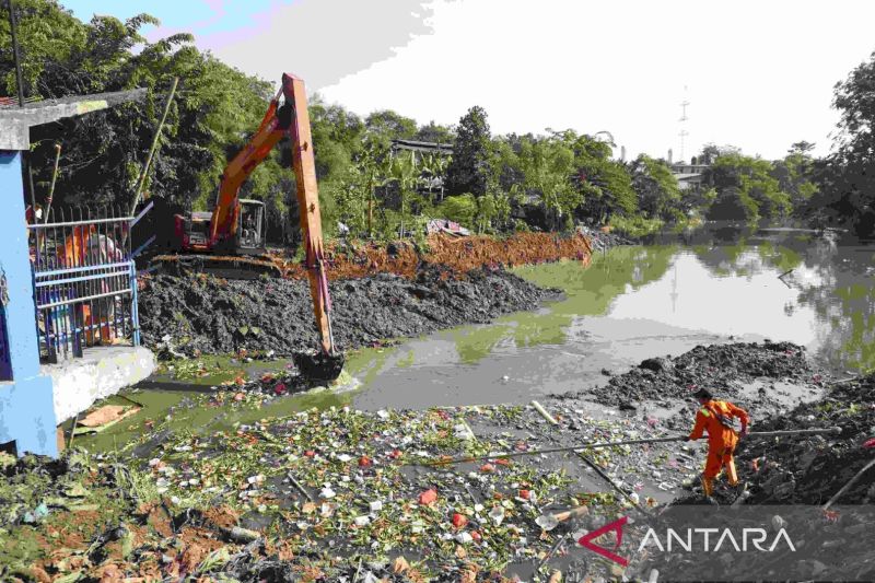 Lahan Pertanian Terancam Kekeringan di Bekasi Menurun Signifikan
