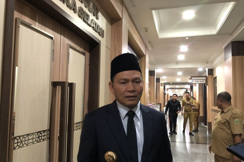 Pj Gubernur Sumatera Selatan (Sumsel) Elen Setiadi. (ANTARA/Ahmad Rafli Baiduri)