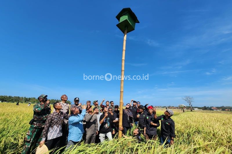 Sejumlah petani dan pejabat pemerintah daerah meninjau pemasangan rumah burung hantu yang dibangun di kawasan pesawahan Kecamatan Pameungpeuk, Kabupaten Garut, Jawa Barat. (ANTARA/HO-Diskominfo Garut)