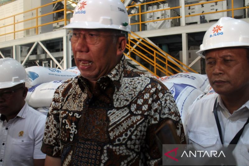 Tantangan Bulog dalam Serap Beras Lokal, Harga dan Kualitas Jadi Masalah