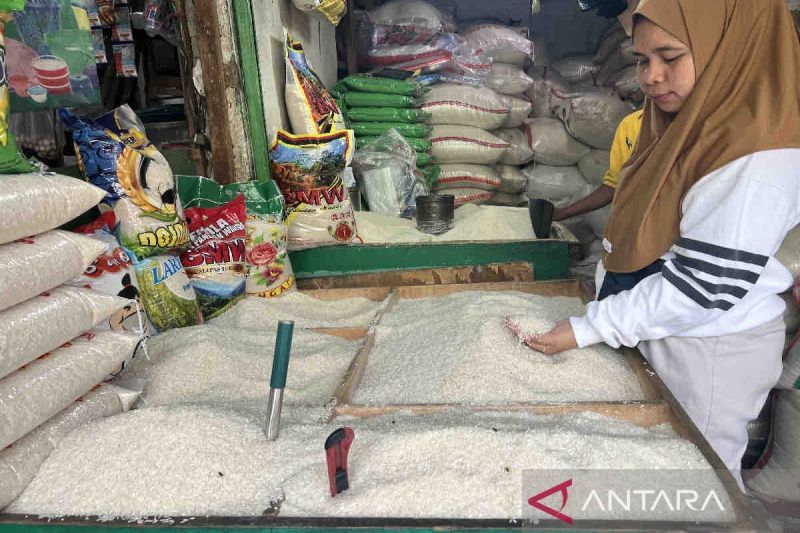 Seorang calon pembeli beras di Pasar Karang Anyar, Jakarta, Jumat (23/8/2024). ANTARA/Harianto