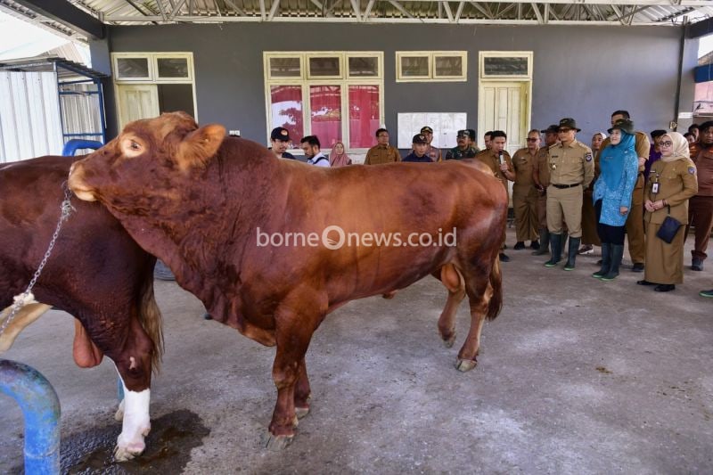 Gubernur Sulsel Instruksikan Penyusunan Neraca Peternakan 24 Wilayah
